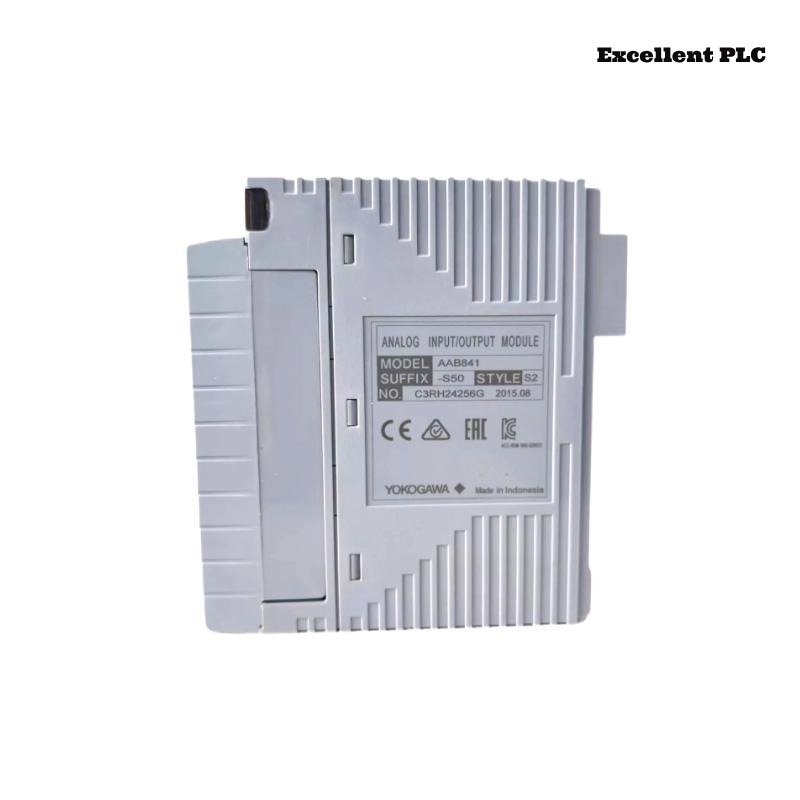 Yokogawa AAB841-S50  Analog Input/Output Module