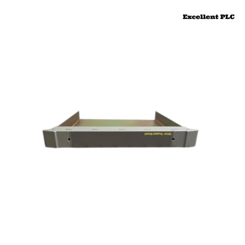ICS Triplex T8191 Trusted Single Slot Width Shield