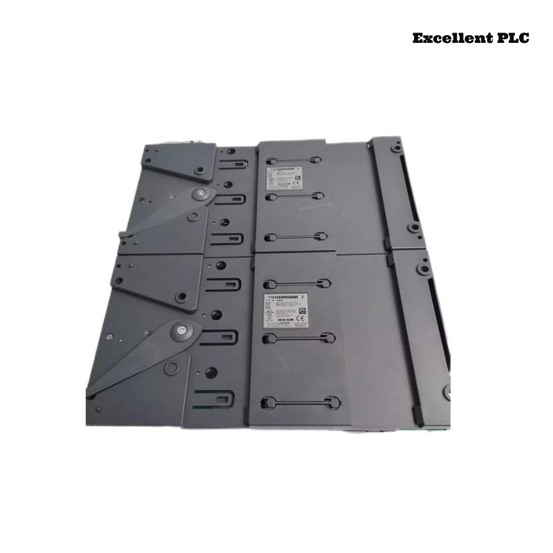 ICS Triplex T8891 Speed ​​Monitor Output Field Termination Assembly