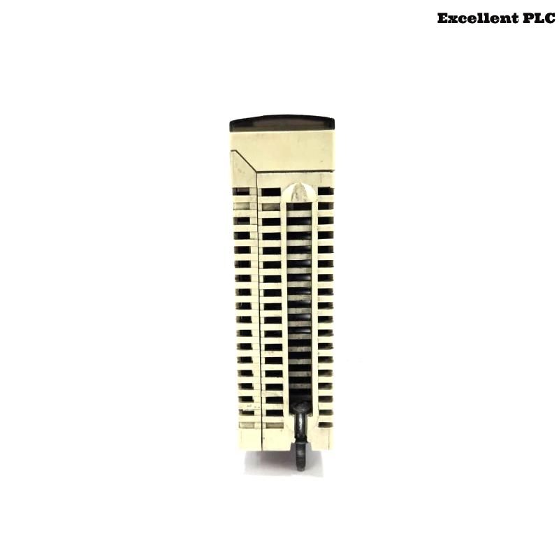 Schneider TSXETY4102 Ethernet TCP/IP 10/100 Module