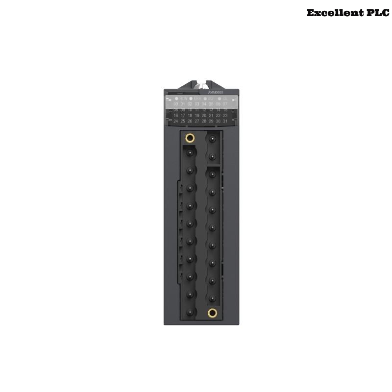Schneider BMXAMM0600 Mixed Analog I/O Module