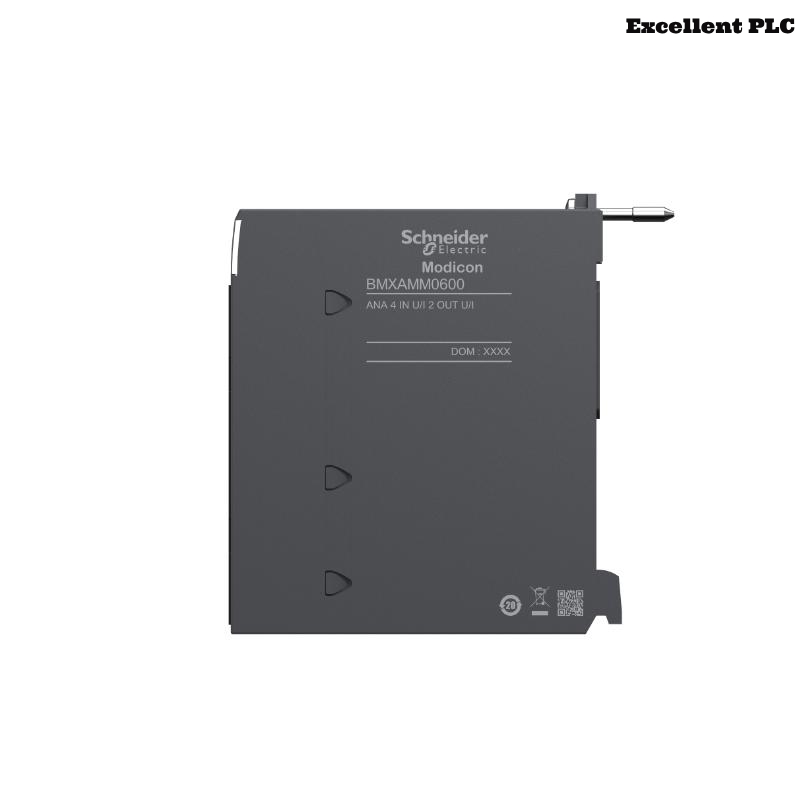 Schneider BMXAMM0600 Mixed Analog I/O Module