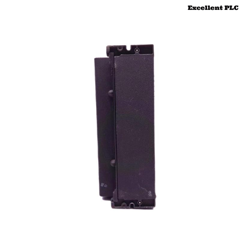 GE IC660TBD022 Terminal Assemblies