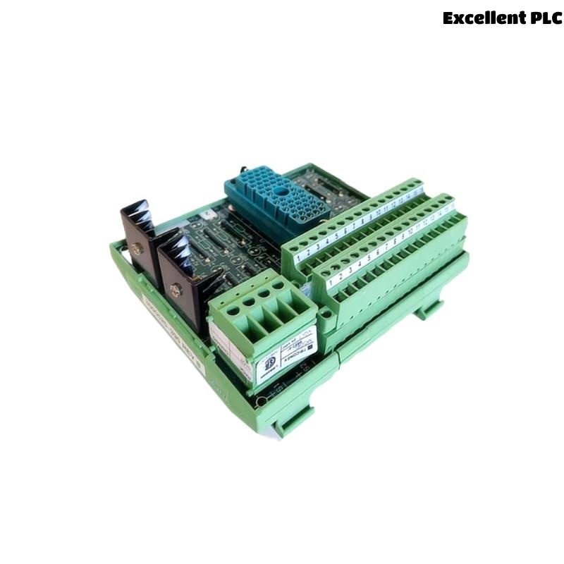 Triconex 9562 3000520-390 Terminal Panel Module