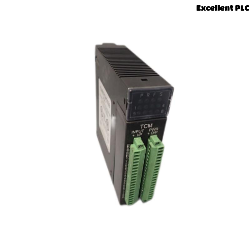 GE IC693TCM302 Temperature control module