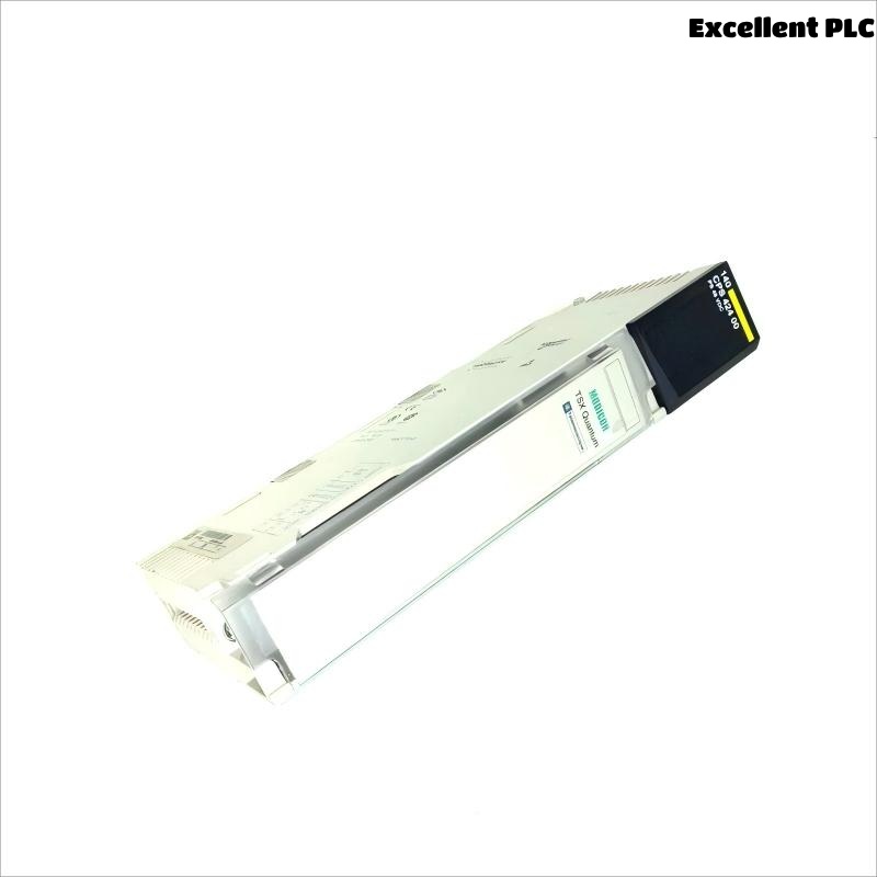 Schneider 140CPS42400C Power Supply Module