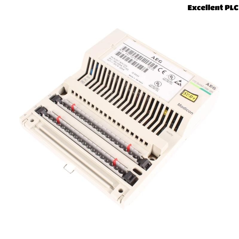 Schneider 170BAM09600 Analog I/O Module