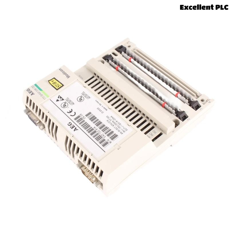Schneider 170BAM09600 Analog I/O Module