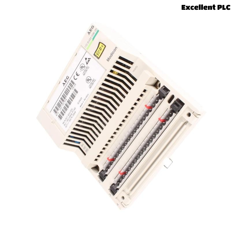 Schneider 170BAM09600 Analog I/O Module