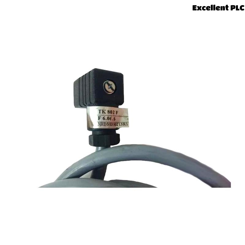 ABB TK802F 3BDM000213R1 cable