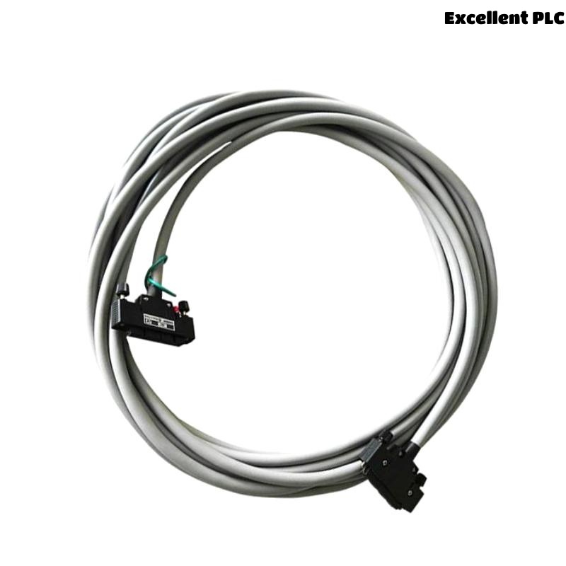 Yokogawa KS1-10 Signal Cable
