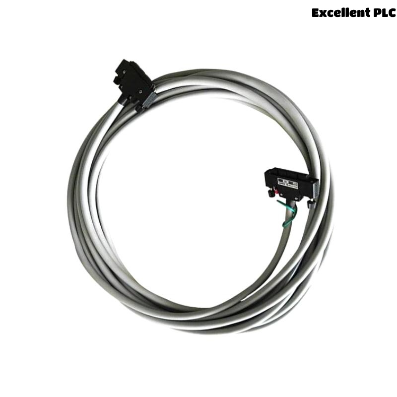 Yokogawa KS1-10 Signal Cable
