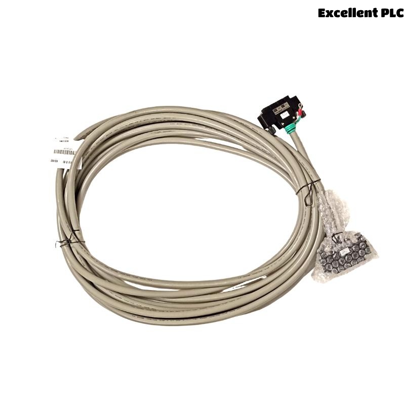 Yokogawa KS1-10 Signal Cable