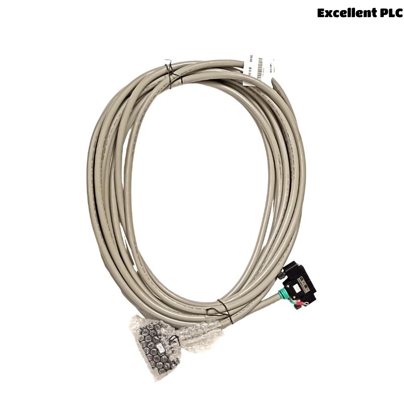 Yokogawa KS1-10 Signal Cable