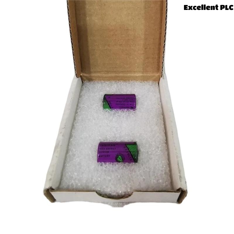 ABB SB808F 3BDM000199R1 RAM Buffer Battery