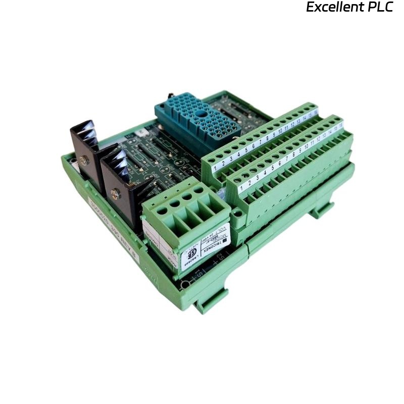 Triconex 7400165-510 Terminal Panel Modules