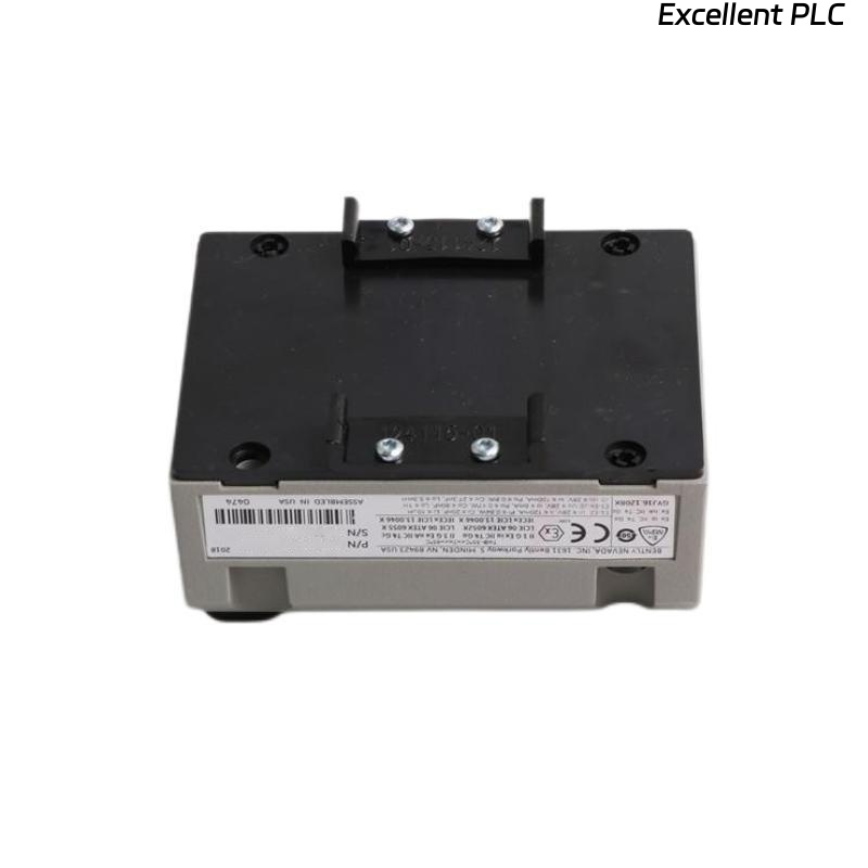 Bently Nevada 990-04-XX-01-05 165335-01 990 Vibration Transmitter