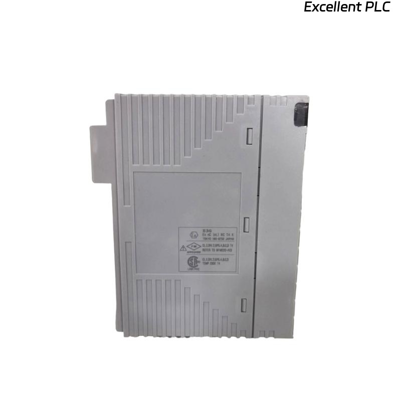 Yokogawa AAI543-H00/A4S10 Analog Output Module