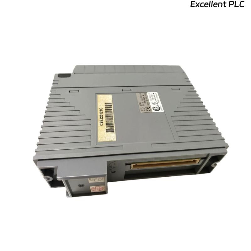 Yokogawa AAI841-H00/CCC01 Analog I/O Module
