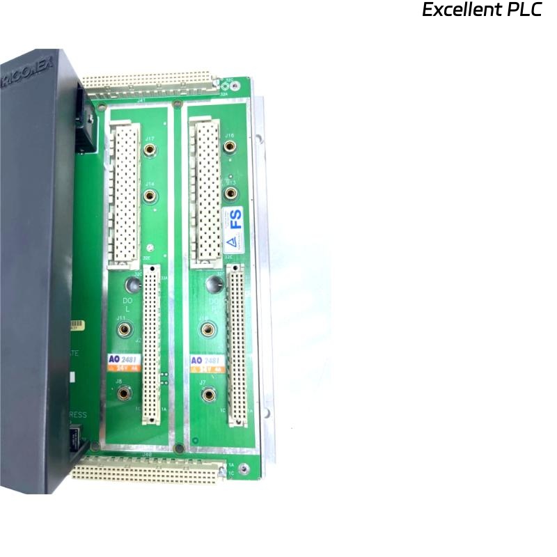 Triconex AO2481 7400209-010 Analog Output Baseplate