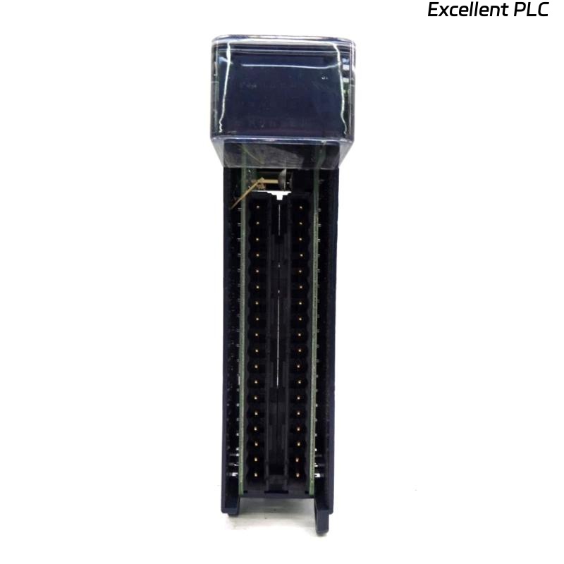 GE IC694MDL660-BC RX3i Input Module