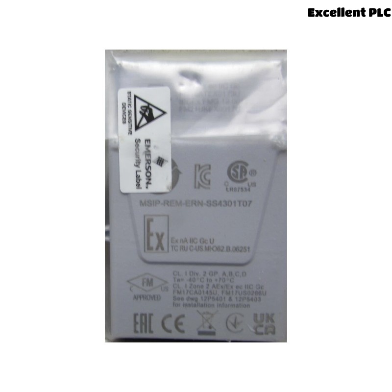 Emerson KL3005X1-LS1 Isolation ferrite beads