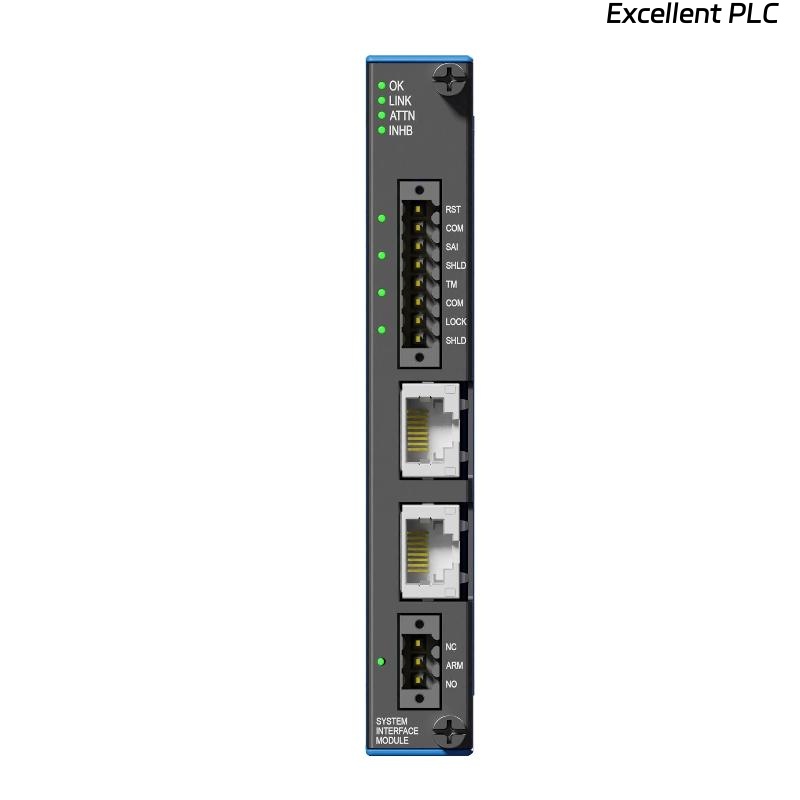 Bently Nevada 60R/PIM01-00-0 3U Power Input Module