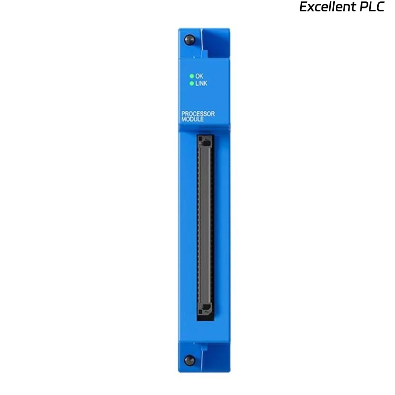 Bently Nevada 60R/PPM01-00-0 Protection Processing Module