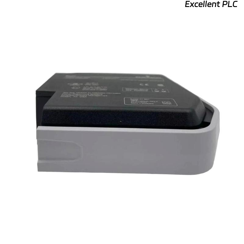 Emerson SE4005S2B4 Analog Output Module