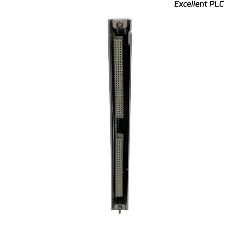 Bently Nevada 3500/20 125768-01 RIM I/O Module