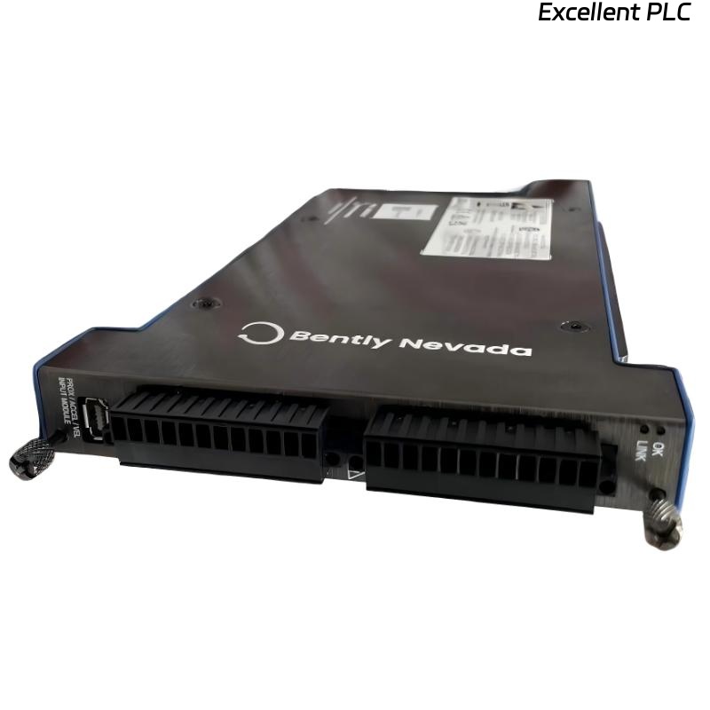 Bently Nevada 60R/INP01 Dynamic Input Module