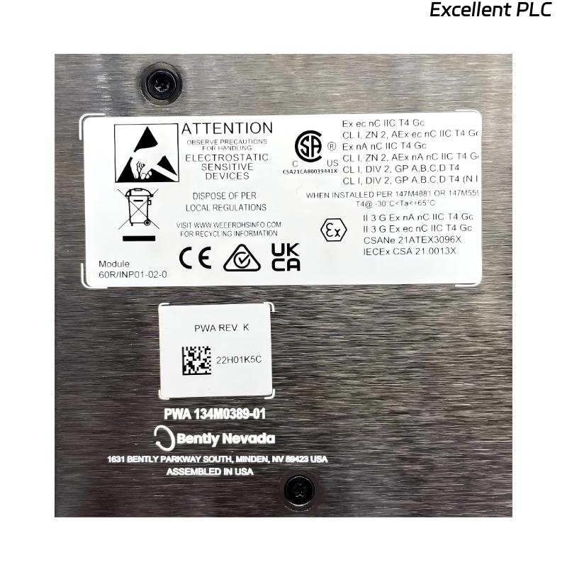 Bently Nevada 60R/INP01 Dynamic Input Module