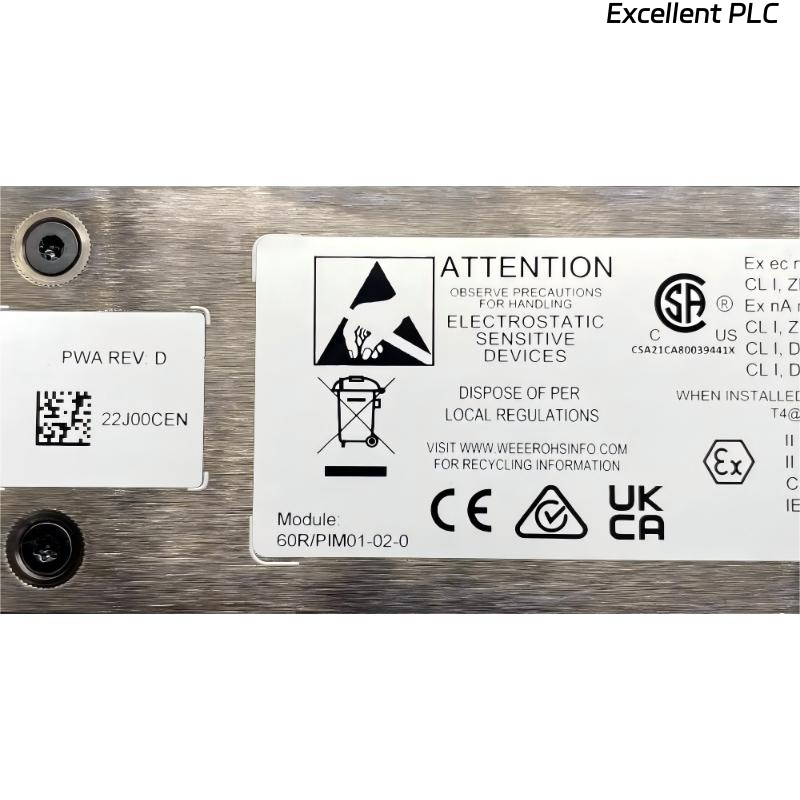 Bently Nevada 60R/PIM01 3U Power Input Module