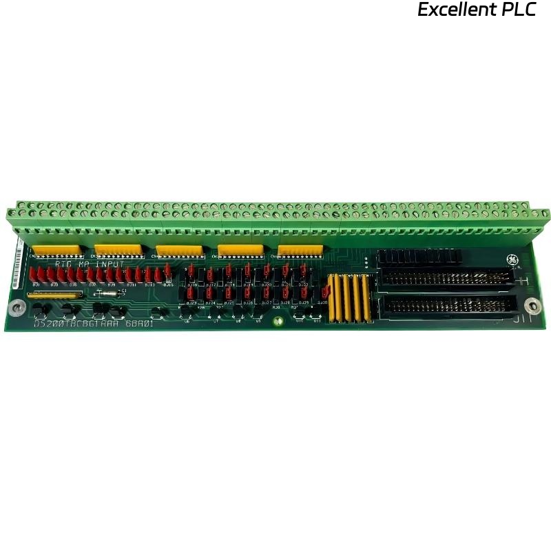 GE DS200TBCBG1AAA RTD Input Termination Module
