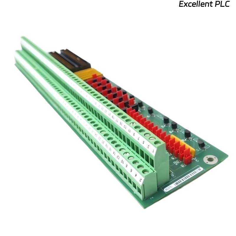 GE DS200TBCBG1AAA RTD Input Termination Module