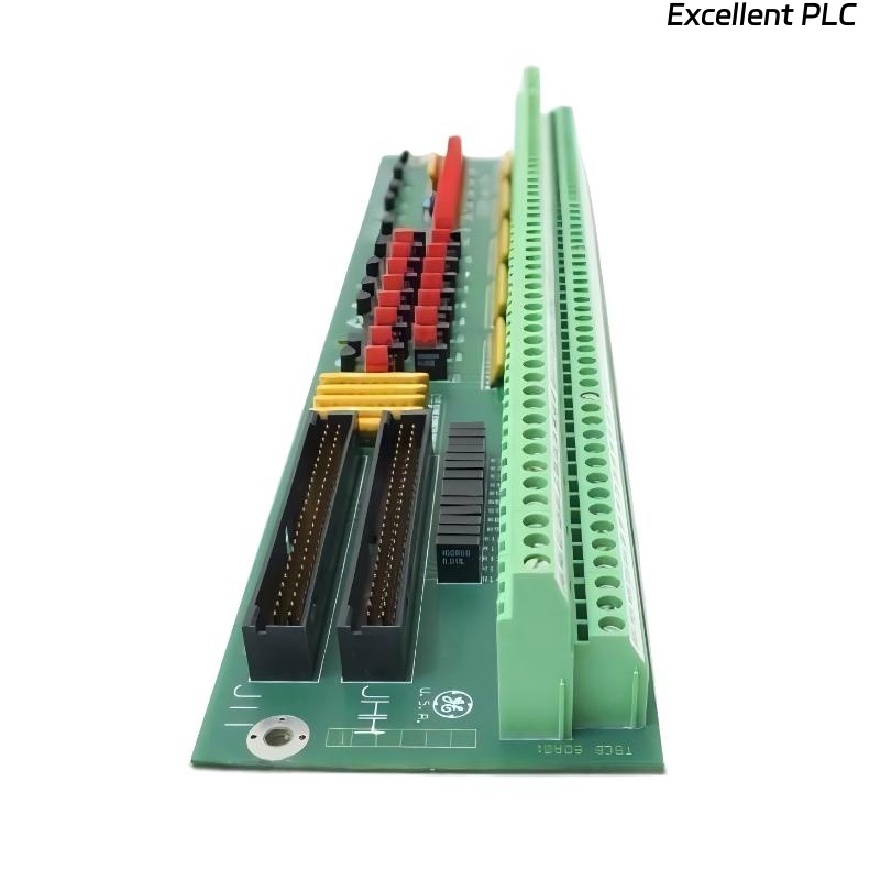 GE DS200TBCBG1AAA RTD Input Termination Module