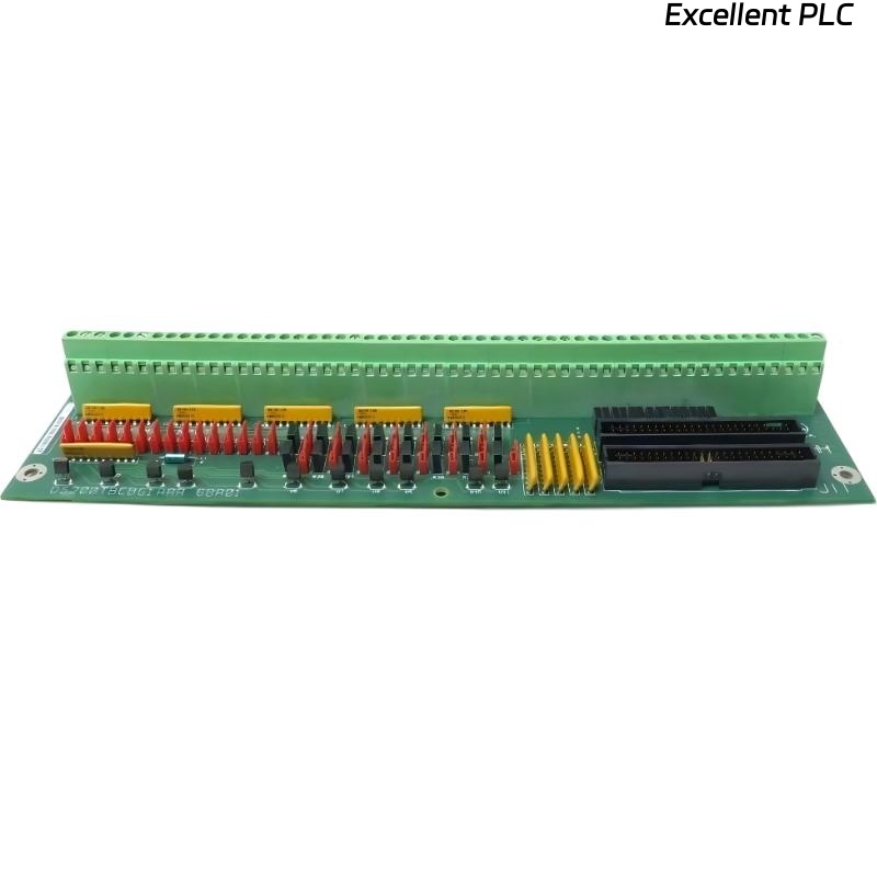 GE DS200TBCBG1AAA RTD Input Termination Module