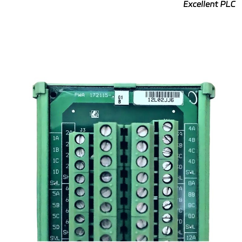 Bently Nevada 172115-01 RTD/Isolated Tip TC External Termination Block