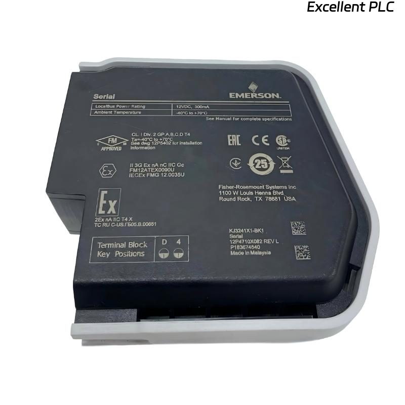 Emerson SE4005S2B5 Analog Output Plus Card