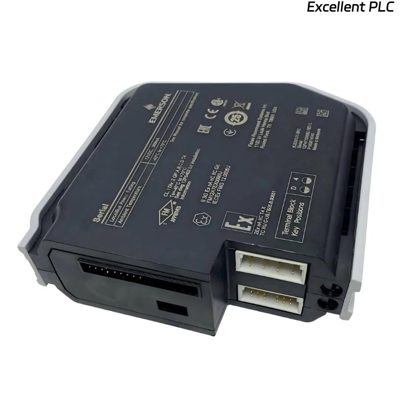 Emerson SE4005S2B5 Analog Output Plus Card