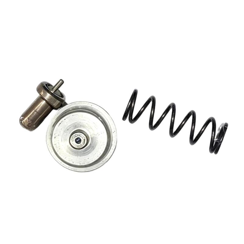 Ingersoll Rand 24509184 Temperature Control Valve Service Kit