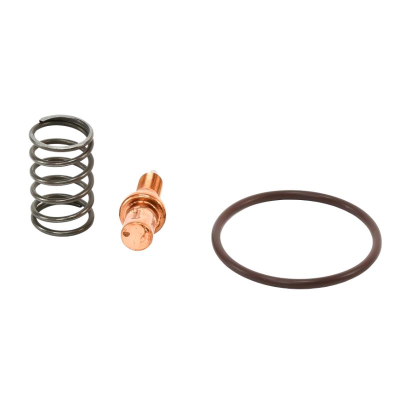 Ingersoll Rand 47629378001 24107948 Temperature Control Valve Service Kit